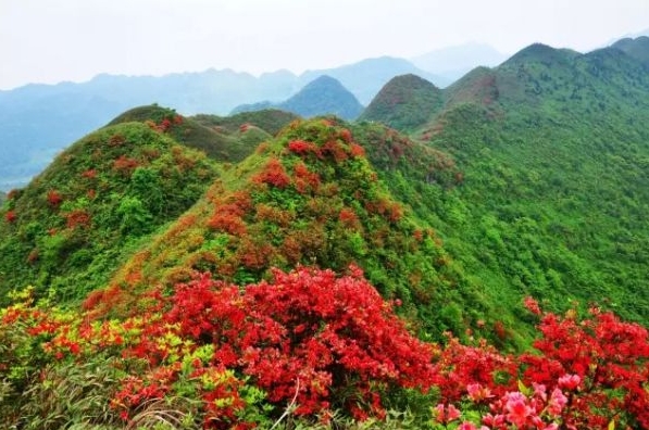 展會(huì)裝修