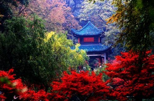 展會裝修
