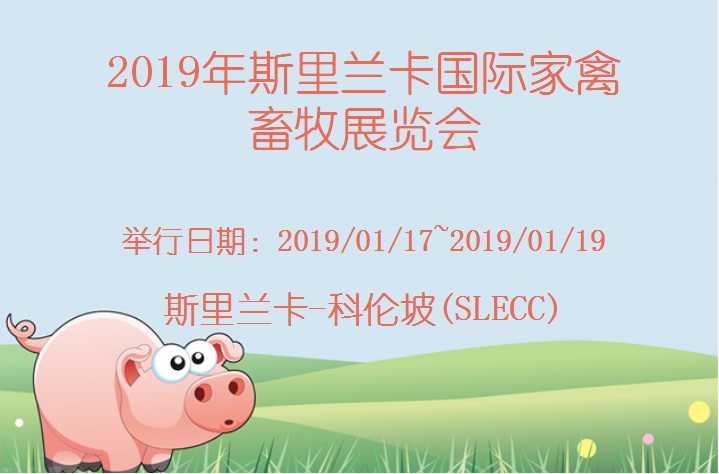 博覽會
