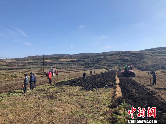 圖為在甘肅渭源縣會川鎮(zhèn)標(biāo)準(zhǔn)化種植的藥材地里，駛過的農(nóng)用機(jī)車快速地將黃芪從土里翻出?！⌒煅?攝
