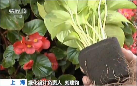 點擊進入下一頁