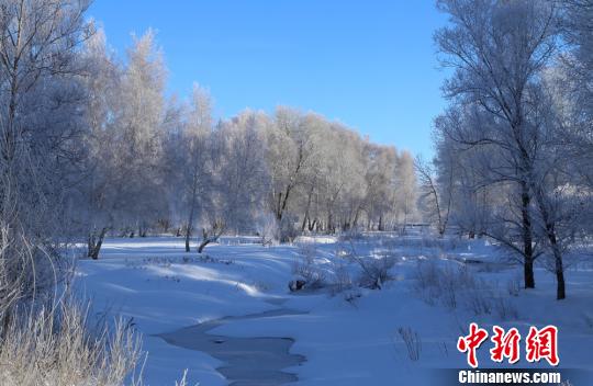 “醉美雪樺”及當(dāng)?shù)孛袼壮蔀槎颈┞糜蔚牧咙c?！」秃涌h委宣傳部供圖 攝